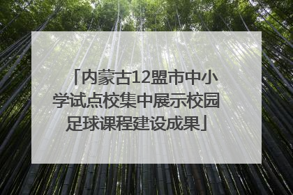 内蒙古12盟市中小学试点校集中展示校园足球课程建设成果