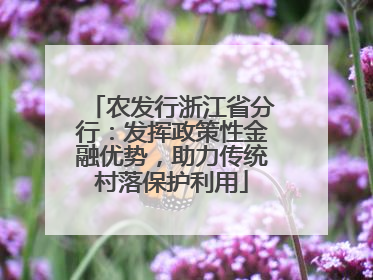 农发行浙江省分行：发挥政策性金融优势，助力传统村落保护利用