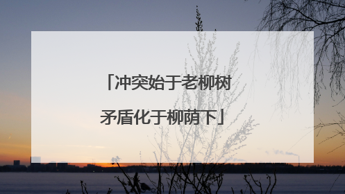 冲突始于老柳树 矛盾化于柳荫下