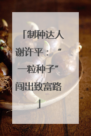 制种达人谢许平：“一粒种子”闯出致富路