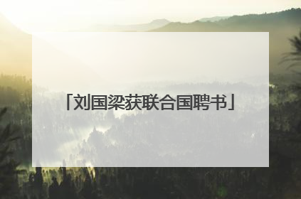 刘国梁获联合国聘书