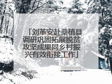 刘革安赴桑植县调研巩固拓展脱贫攻坚成果同乡村振兴有效衔接工作