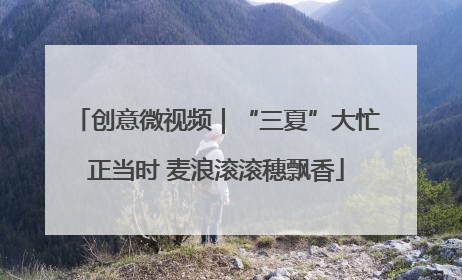 创意微视频｜“三夏”大忙正当时 麦浪滚滚穗飘香