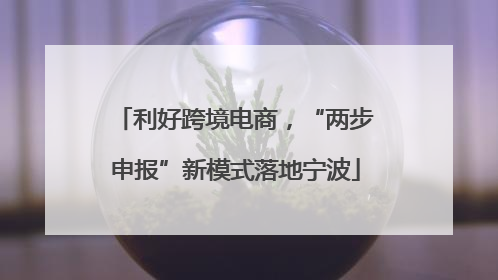 利好跨境电商，“两步申报”新模式落地宁波