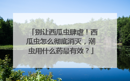 别让西瓜虫肆虐！西瓜虫怎么彻底消灭，潮虫用什么药最有效？