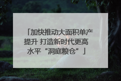 加快推动大面积单产提升 打造新时代更高水平“洞庭粮仓”