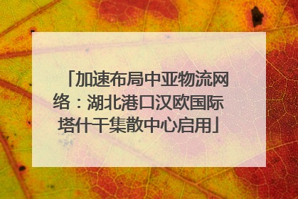 加速布局中亚物流网络：湖北港口汉欧国际塔什干集散中心启用