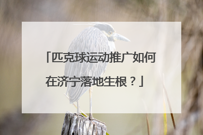 匹克球运动推广如何在济宁落地生根？