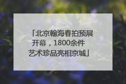 北京翰海春拍预展开幕，1800余件艺术珍品亮相京城
