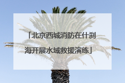 北京西城消防在什刹海开展水域救援演练