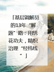 基层调解员的13年“解题”路：用绣花功夫，精织治理“经纬线”