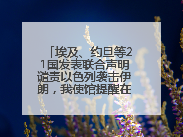 埃及、约旦等21国发表联合声明谴责以色列袭击伊朗，我使馆提醒在以中国公民尽快陆路离境