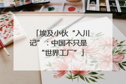 埃及小伙“入川记”：中国不只是“世界工厂”