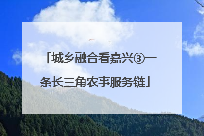 城乡融合看嘉兴③一条长三角农事服务链