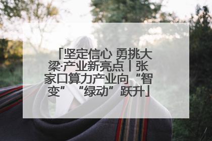坚定信心 勇挑大梁·产业新亮点丨张家口算力产业向“智变”“绿动”跃升