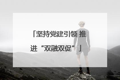 坚持党建引领 推进“双融双促”