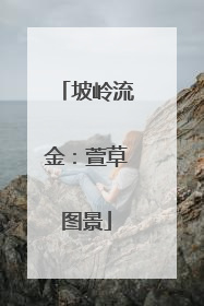 坡岭流金：萱草图景