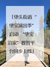 垡头街道“垡宝演出季”启动 “垡宝治家”数智平台同步上线