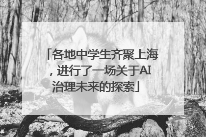 各地中学生齐聚上海，进行了一场关于AI治理未来的探索