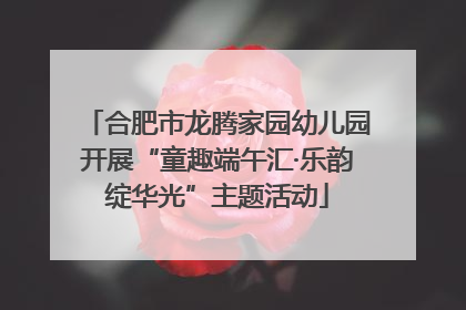 合肥市龙腾家园幼儿园开展“童趣端午汇·乐韵绽华光”主题活动