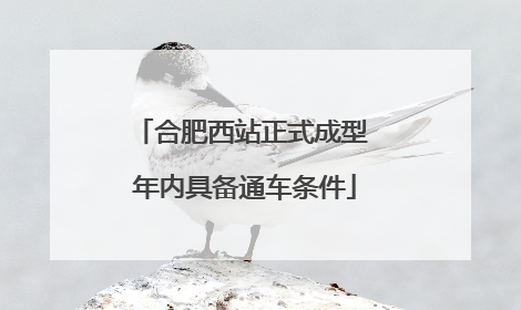 合肥西站正式成型 年内具备通车条件