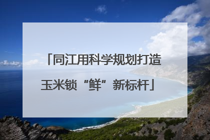 同江用科学规划打造玉米锁“鲜”新标杆