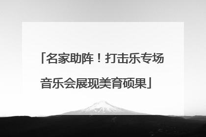 名家助阵！打击乐专场音乐会展现美育硕果