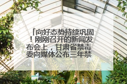 向好态势持续巩固！刚刚召开的新闻发布会上，甘肃省禁毒委向媒体公布三年禁毒工作“成绩单”