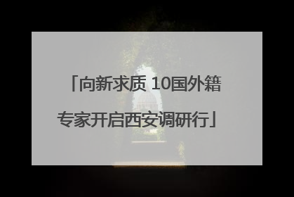 向新求质 10国外籍专家开启西安调研行