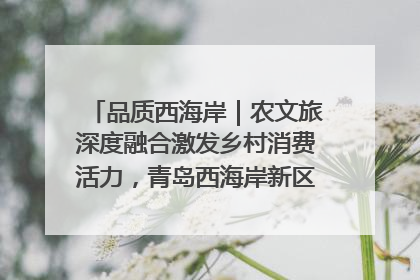 品质西海岸｜农文旅深度融合激发乡村消费活力，青岛西海岸新区的乡村振兴实践