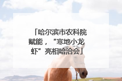 哈尔滨市农科院赋能，“寒地小龙虾”亮相哈洽会