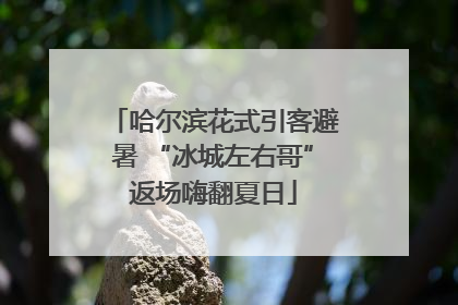哈尔滨花式引客避暑 “冰城左右哥”返场嗨翻夏日