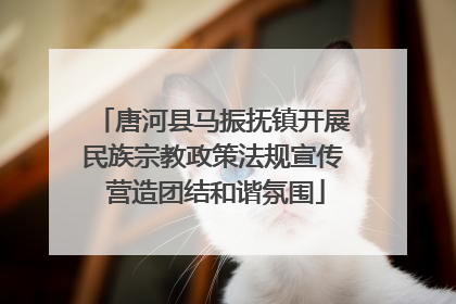 唐河县马振抚镇开展民族宗教政策法规宣传 营造团结和谐氛围