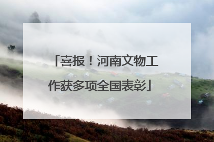 喜报！河南文物工作获多项全国表彰