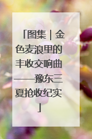 图集｜金色麦浪里的丰收交响曲——豫东三夏抢收纪实