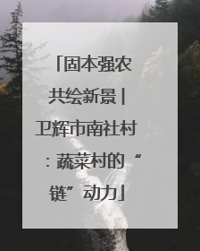 固本强农 共绘新景 ︳卫辉市南社村：蔬菜村的“链”动力