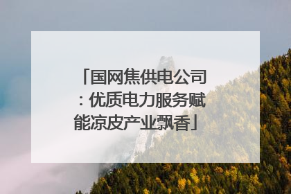 国网焦供电公司：优质电力服务赋能凉皮产业飘香