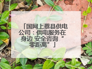 国网上蔡县供电公司：供电服务在身边 安全咨询“零距离”