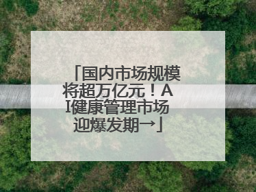 国内市场规模将超万亿元！AI健康管理市场迎爆发期→