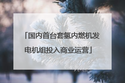 国内首台套氢内燃机发电机组投入商业运营