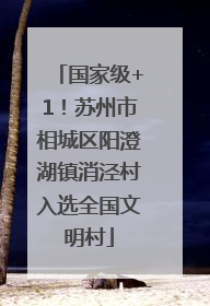 国家级+1！苏州市相城区阳澄湖镇消泾村入选全国文明村