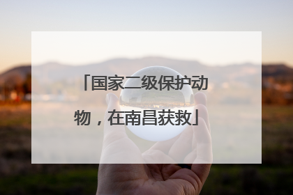 国家二级保护动物，在南昌获救