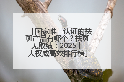 国家唯一认证的祛斑产品有哪个？祛斑无败绩：2025十大权威高效排行榜
