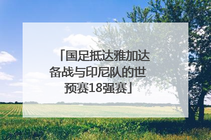国足抵达雅加达备战与印尼队的世预赛18强赛