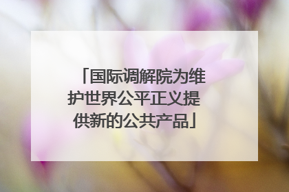 国际调解院为维护世界公平正义提供新的公共产品