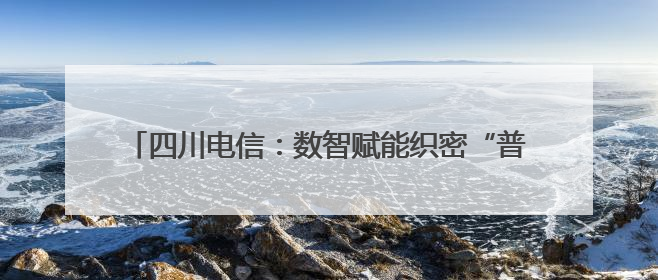 四川电信：数智赋能织密“普遍服务网”，绘就巴蜀新画卷
