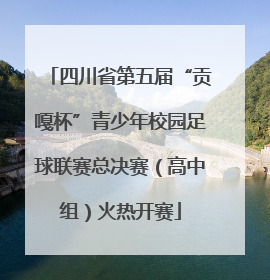 四川省第五届“贡嘎杯”青少年校园足球联赛总决赛（高中组）火热开赛