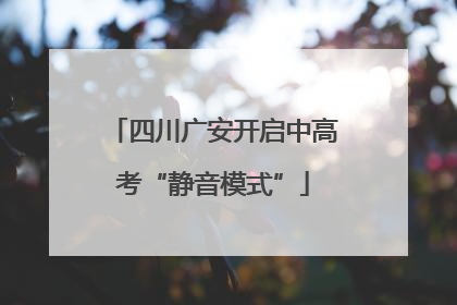 四川广安开启中高考“静音模式”