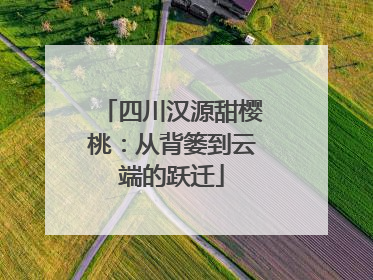 四川汉源甜樱桃：从背篓到云端的跃迁