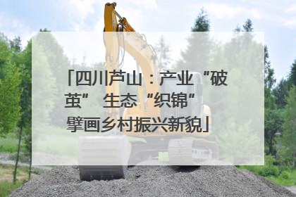四川芦山：产业“破茧” 生态“织锦” 擘画乡村振兴新貌